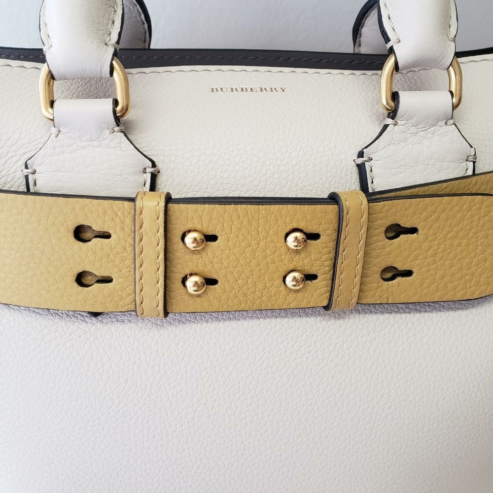 Burberry Small Marais Belt Bag - Beige with Yellow - Picture 5 of 8